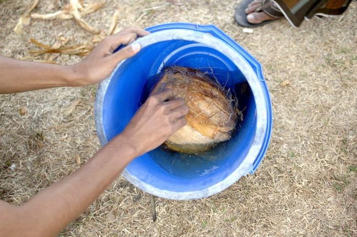 Trái bóng chính là quả dừa được các học sinh ở trường trung học nội trú Lirboyo ngâm trong chất lỏng dễ cháy trong hai ngày...